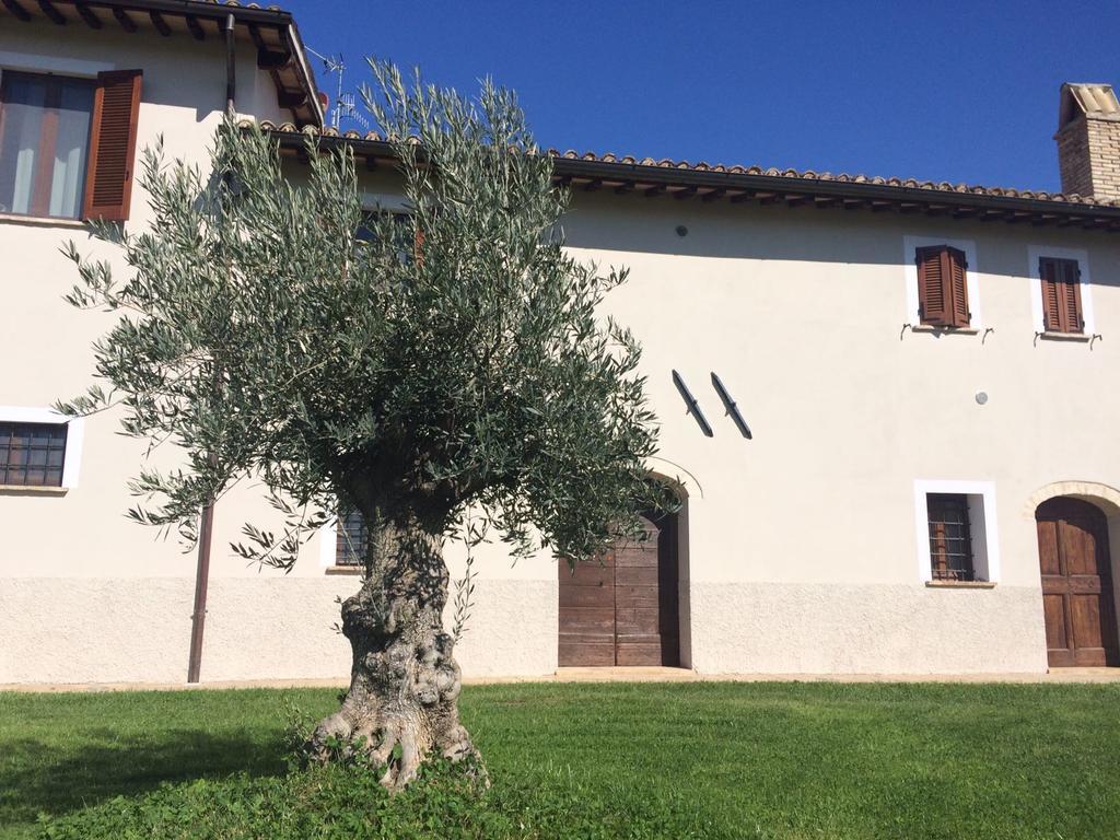 Podere Le Volte Degli Angeli Spello Exterior photo